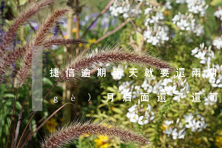 捷信逾期兩天就要還兩期(捷信逾期了兩個(gè)月,后面還了還可以再借嗎?)