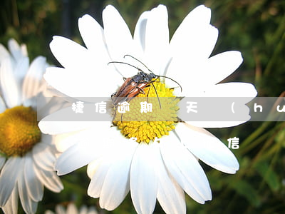 捷信逾期兩天會(huì)上征信么(捷信息逾期多久上征信)