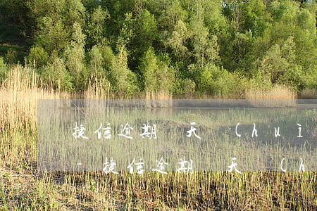 捷信逾期兩天會(huì)接淘寶催電話嗎-捷信逾期兩天會(huì)接淘寶催電話嗎是真的嗎
