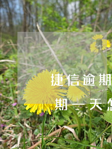 捷信逾期兩天錢幾點(diǎn)扣(捷信逾期一天怎么還款顯示兩個(gè)月的錢)