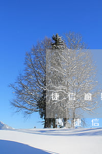 捷信逾期兩年了還可以協(xié)商還款嗎(捷信逾期幾個(gè)月要求全部還清協(xié)商按月還可以嗎)