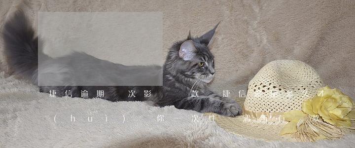 捷信逾期兩次影響貸款嗎(捷信逾期多久才會(huì)讓你一次性還清所有貸款)