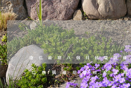 捷信逾期八個月被電話通知起訴是真的嗎?（捷信惠購逾期會被起訴嗎）