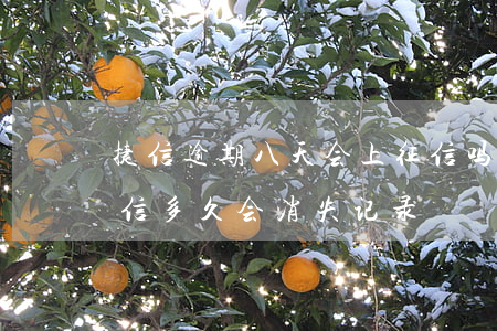 捷信逾期八天会上征信吗(捷信逾期还清后征信多久会消失记录)