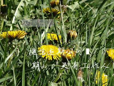 捷信逾期公司會(huì)去家里嗎(捷信逾期20天,有工作人員去我家,怎么辦)