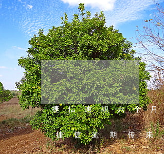 捷信逾期六个月发来了起诉告知函是真的吗（捷信逾期传来起诉书）