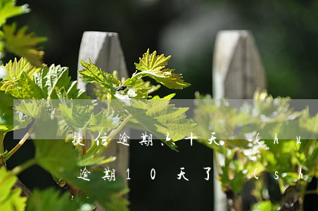 捷信逾期六十天會(huì)起訴嗎-捷信逾期10天了,說(shuō)要起訴我,是真的嗎