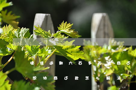 捷信逾期六百多天协商还款 捷信逾期很久了想协商还款怎么解决