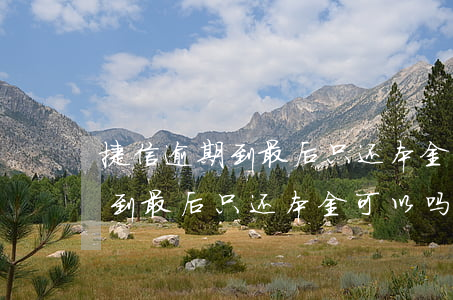 捷信逾期到最后只还本金可以吗-捷信逾期到最后只还本金可以吗怎么办