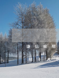 捷信逾期十天居然上門(mén)了(捷信逾期十天居然上門(mén)了)