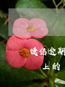 捷信逾期十天會被起訴嗎(捷信逾期10天后還上的,會有什么影響嗎)
