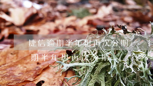 捷信逾期半年想再次分期還還行不-捷信逾期半年想再次分期還還行不