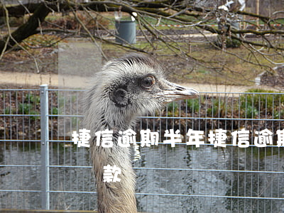 捷信逾期半年(捷信逾期半年多了,還能去銀行貸款嗎?)