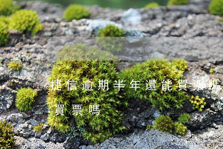 捷信逾期半年還能買票嗎(捷信逾期半年還能買票嗎)
