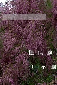 捷信逾期協商能不能處理逾期狀態(tài)不逾期（捷信逾期了不能協商還款嗎）