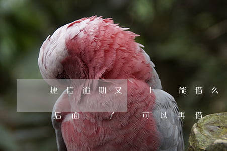 捷信逾期又還上還能借么(捷信逾期了兩個月,后面還了還可以再借嗎?)