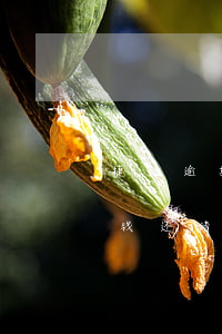 捷信逾期可以借分期乐嘛(捷信有过逾期了,把钱还清了,还能分期捷信吗?)