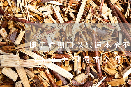捷信逾期可以只還本金不(捷信可以申請(qǐng)只還本金嗎)