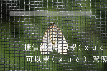 捷信逾期可以學(xué)駕照嗎 捷信逾期可以學(xué)駕照嗎知乎
