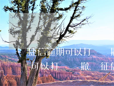 捷信逾期可以打電話撤銷征信嗎-捷信逾期可以打電話撤銷征信嗎有影響嗎