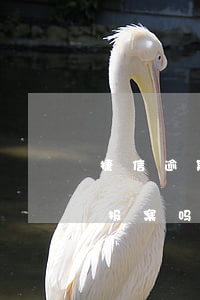 捷信逾期可以报案吗有影响吗（捷信逾期可以报案吗）