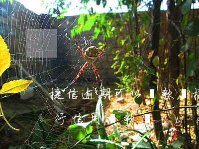 捷信逾期可以貸款嗎(捷信有逾期還能辦理銀行信用貸款業(yè)務(wù)嗎?)
