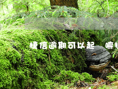 捷信逾期可以起訴嘛(捷信逾期可以起訴嘛)
