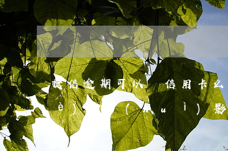 捷信逾期可以辦信用卡么(捷信逾期3個(gè)月會(huì)影響我現(xiàn)有的信用卡嗎?)