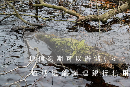捷信逾期可以辦儲(chǔ)蓄卡嗎(捷信有逾期還能辦理銀行信用貸款業(yè)務(wù)嗎?)