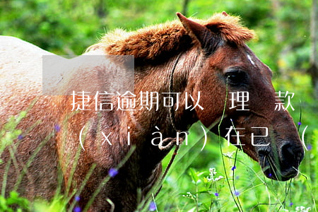 捷信逾期可以辦理貨款嗎(捷信貸款逾期了,現(xiàn)在已經(jīng)上門了怎么辦?)