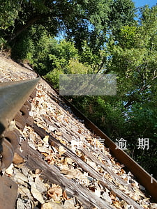 捷信逾期可以辦銀行卡嗎(捷信逾期銀行卡凍結(jié)了可以再開一張卡嗎?)