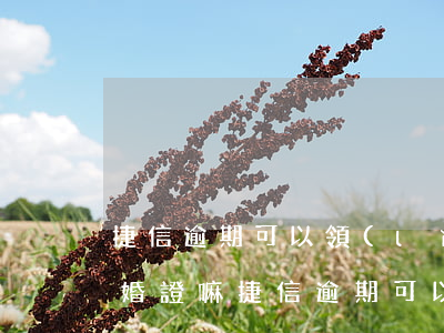 捷信逾期可以領(lǐng)結(jié)婚證嘛(捷信逾期可以領(lǐng)結(jié)婚證嘛)