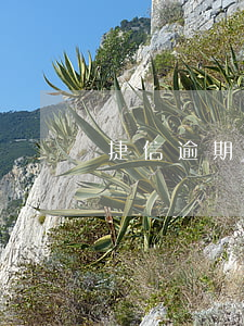 捷信逾期各種起訴書威脅(捷信訴訟被駁回)