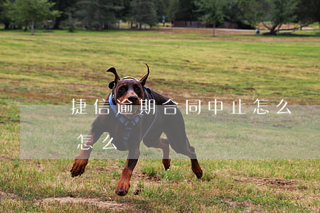 捷信逾期合同中止怎么辦(捷信逾期合同中止怎么辦)