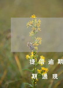 捷信逾期后可以辦信用卡嗎(捷信金融以前逾期過現(xiàn)在辦理還可以成功嗎?)