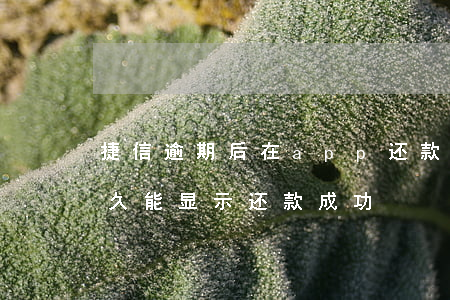 捷信逾期后在app还款(捷信逾期还款后多久能显示还款成功)