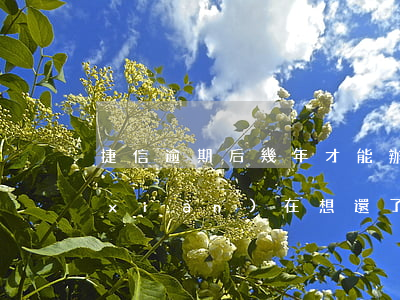 捷信逾期后幾年才能辦理(捷信逾期幾年,現(xiàn)在想還了最好在哪里還)
