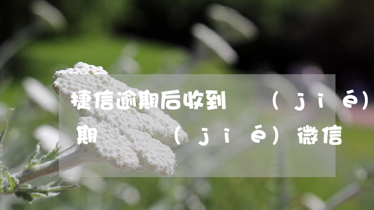 捷信逾期后收到凍結(jié)通知(捷信逾期會凍結(jié)微信)