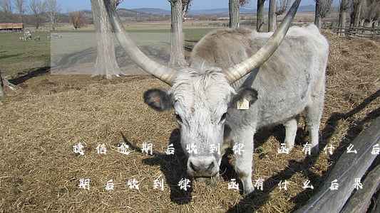 捷信逾期后收到律師函有什么后果-捷信逾期后收到律師函有什么后果嗎