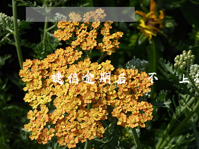 捷信逾期后會不會上征信