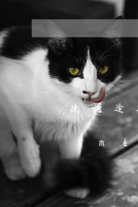 捷信逾期后期手續(xù)費(fèi)沒(méi)還會(huì)起訴嗎-捷信逾期后期手續(xù)費(fèi)沒(méi)還會(huì)起訴嗎怎么辦
