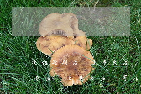 捷信逾期后還上多久后還可以分期-捷信逾期后還上多久后還可以分期還款