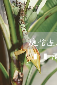 捷信逾期后還可以分期不(捷信有過逾期了,把錢還清了,還能分期捷信嗎?)