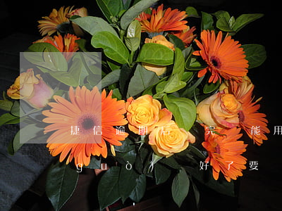 捷信逾期后還完還能用嗎(以前捷信逾期過(guò),還好了,要過(guò)多久才可以再辦捷信)