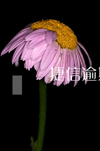 捷信逾期吧 捷信逾期吧