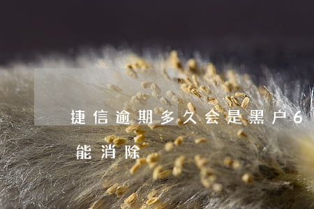 捷信逾期多久会是黑户6(捷信黑户什么时候能消除)