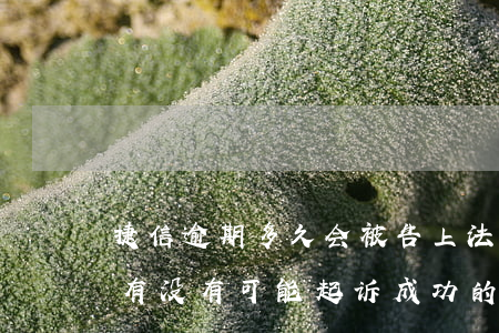 捷信逾期多久会被告上法院-捷信逾期2年,有没有可能起诉成功的可能