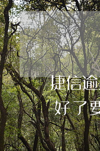 捷信逾期多久可以再還款(以前捷信逾期過,還好了,要過多久才可以再辦捷信)