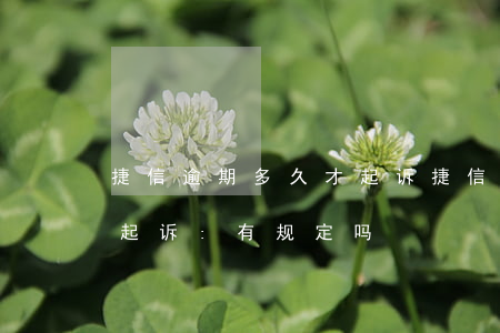捷信逾期多久才起诉(捷信贷款逾期多久会被起诉:有规定吗?)