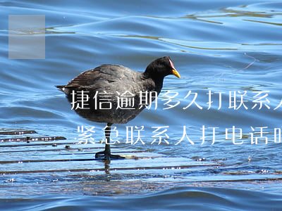 捷信逾期多久打联系人-捷信逾期五天会给紧急联系人打电话吗